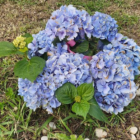 Villa Angel Rapallo Dış mekan fotoğraf