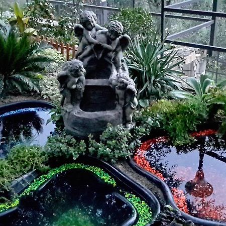 Villa Angel Rapallo Dış mekan fotoğraf